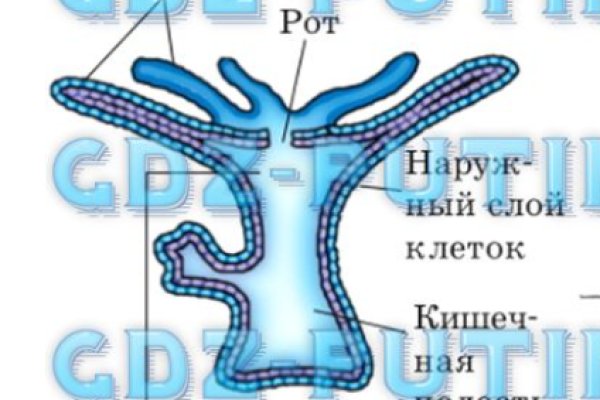 Гидра кракен