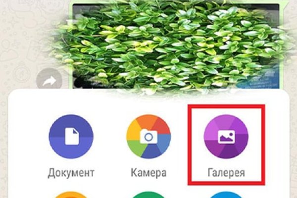 Ссылки тор браузер