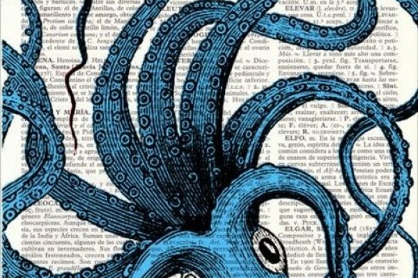Kraken пользователь не найден при входе