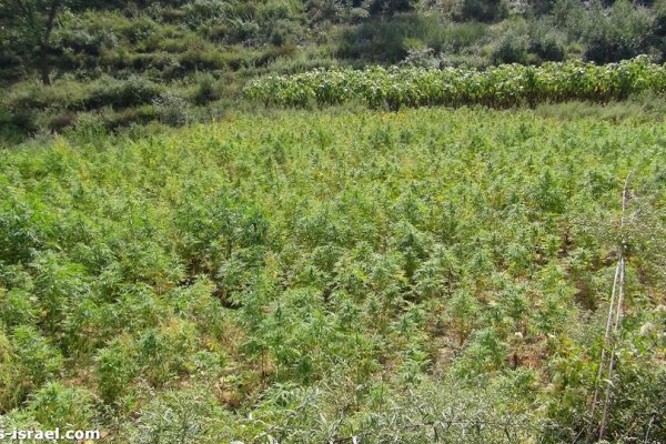 Кракен сайт с наркотиками